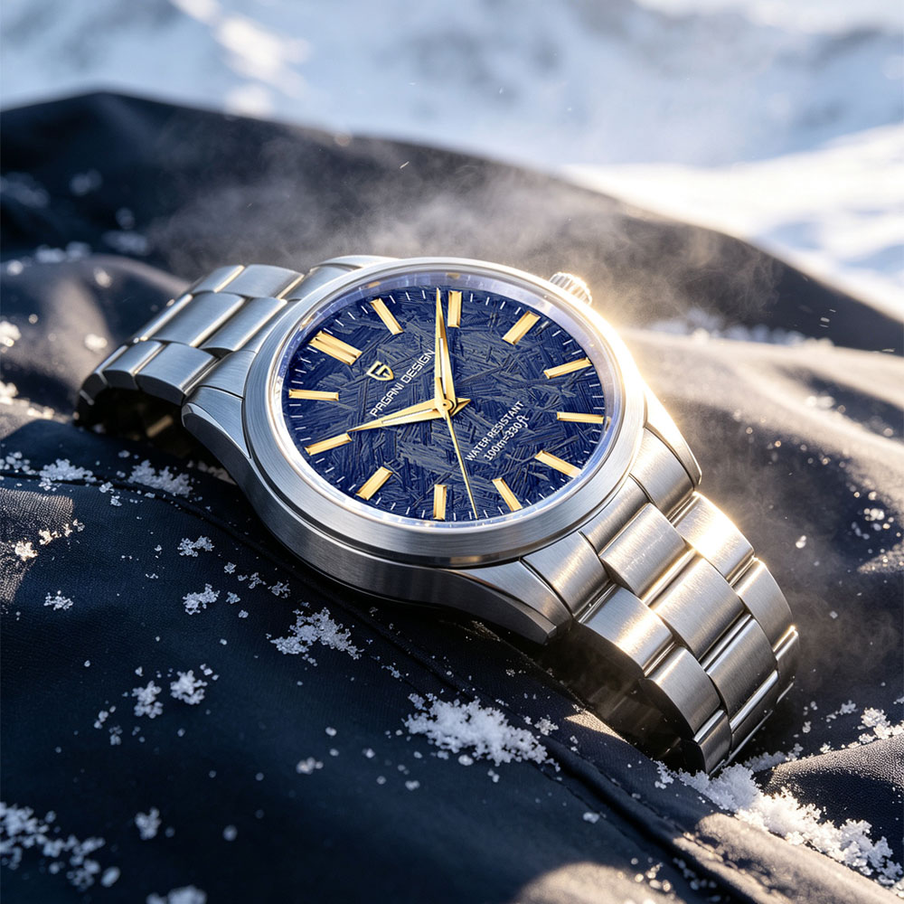 PAGANI DESIGN 40MM Men Quartz  - Luxury Watch Deals recension och pris