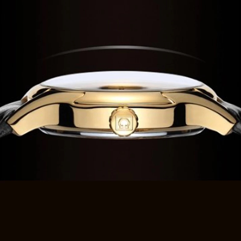 Carnival Brand Luxury Watches  - Luxury Watch Winder recension och pris